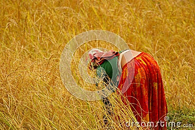 Working woman Stock Photo