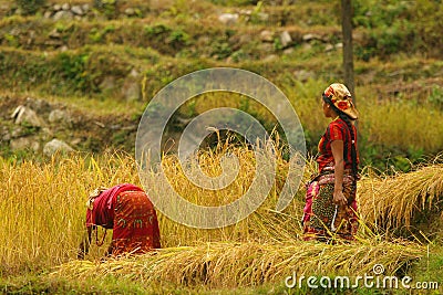 Working women Stock Photo