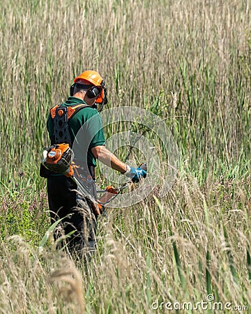 Workman clearing long grass and weeds with Husqvarna tools and safety gear vertical Editorial Stock Photo