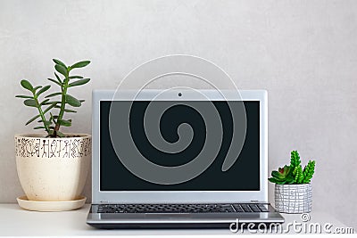 Workplace freelance desktop with open laptop computer and house plants on table. Stock Photo