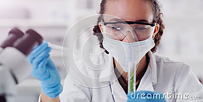 She works with all sorts of living organisms. a young scientist working with plant samples in a lab. Stock Photo