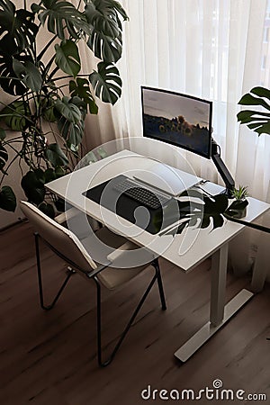 Workspace at home with a laptop. Minimalism interior with houseplants Stock Photo