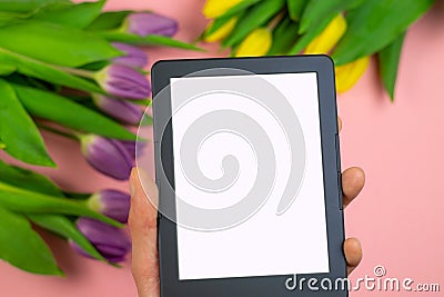 Tulips and tablet with white mockup screen on pink background. Greeting card for Easter or Women`s Day Stock Photo