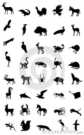 World of animal Stock Photo