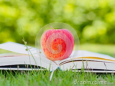 World Book Day concept. Stock Photo