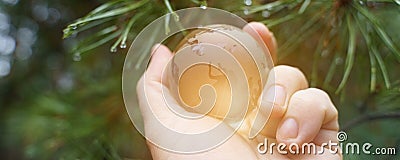 World earth day. Hands are holding a glass planet. Stock Photo