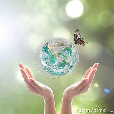 World environment day and ecological friendly concept with green planet on hands with tree leaves Stock Photo