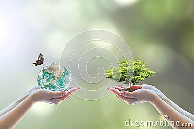 World environment day and go green with csr concept with tree planting on volunteers` hand. Element of the image furnished by NASA Stock Photo