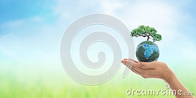 World environment day and green concept. Stock Photo