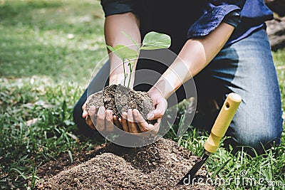 World environment day reforesting, Hands of young man were planting the seedlings and tree growing into soil while working in the Stock Photo