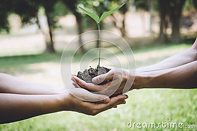 World environment day reforesting, Hands of young man helping were planting the seedlings and tree growing into soil while working Stock Photo