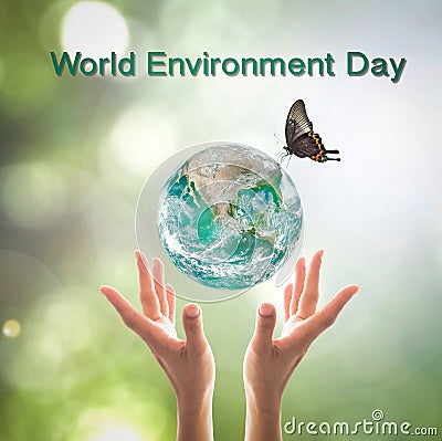 World environment day, sustainable ecology and environmental friendly concept with green earth planet on volunteer`s woman hands. Stock Photo