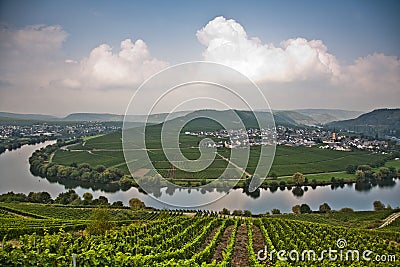 World famous sinuosity at the river Mosel near Trittenheim Stock Photo