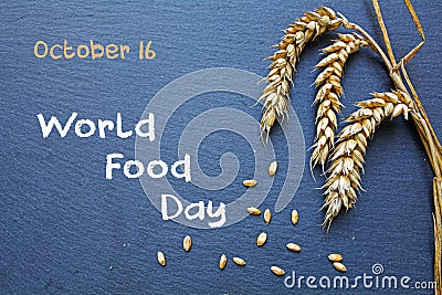 World Food Day, October 16, chalkboard with cereal and text Stock Photo