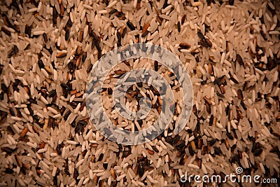 World food, wild rice type, macro photo with aerial texture Stock Photo