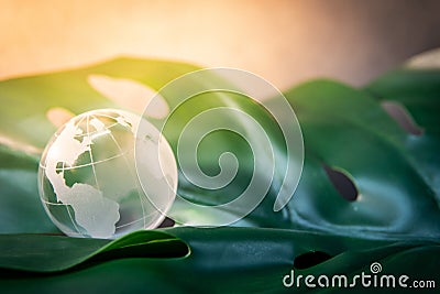 World globe cystal glass on green leaf Stock Photo