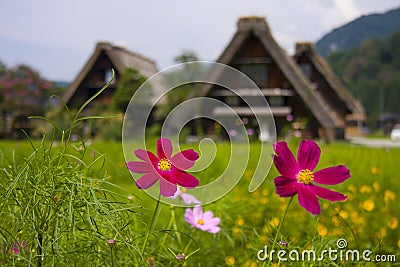 World heritage shirakawago gasshozukuri houses Stock Photo