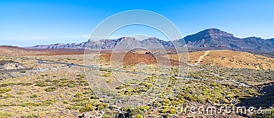 Teide National Park, Santa Cruz de Tenerife in Canary Islands, Spain. Stock Photo