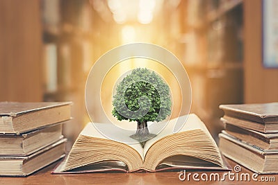 World philosophy day concept with tree of knowledge planting on opening old big book in library full with textbook, stack piles Stock Photo