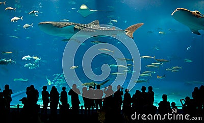 World's largest acrylic aquarium Stock Photo