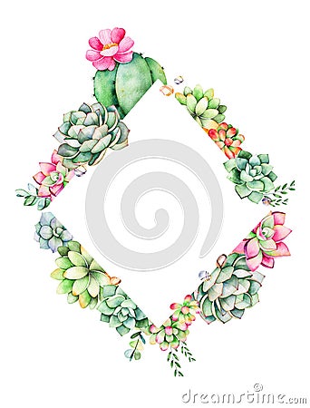 World of succulents and cactus collection. Stock Photo