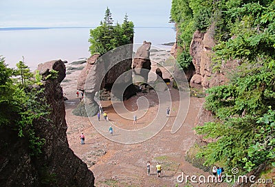 Worlds highest tides Editorial Stock Photo