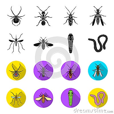 Worm, centipede, wasp, bee, hornet .Insects set collection icons in black,flet style vector symbol stock illustration Vector Illustration