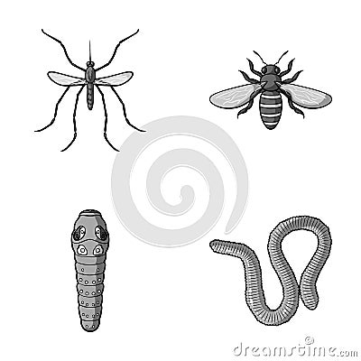 Worm, centipede, wasp, bee, hornet .Insects set collection icons in monochrome style vector symbol stock illustration Vector Illustration