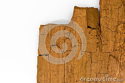 Worm eaten dry tree bark background Stock Photo