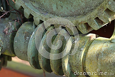 Worm-gear Stock Photo