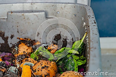 Worm vermiculture compost with breathing holes in a gray bin Stock Photo