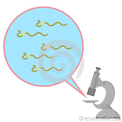 Worms and Microscope Dangerous Bad Parasites. Ascarid, Helminth Pinworm Threadworm Vector Illustration