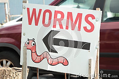 worms word caption text writing sign with an arrow pointing left and picture. ph Cartoon Illustration