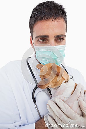 Worried male vet holding a sick chihuahua Stock Photo