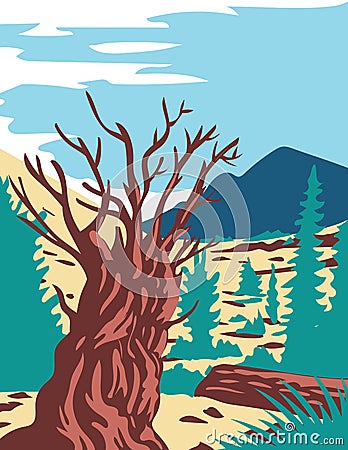 Prometheus Tree with Wheeler Peak in Nevada WPA Poster Art Vector Illustration