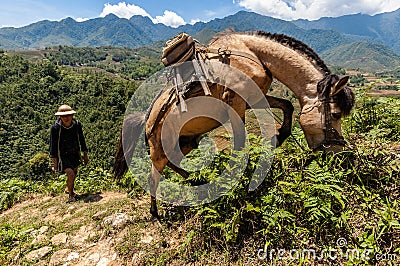 A wrangler and his horse, at a mountain trail in Sapa, Lao Cai, Vietnam. Editorial Stock Photo