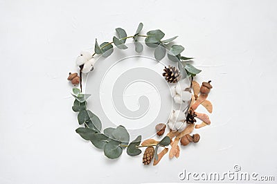 Wreath autumn Eucalyptus leaves and acorn, cone frame on white background with place for your text. Flat lay, top view Stock Photo