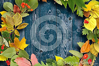 Wreath of autumn leaves on wooden background Stock Photo