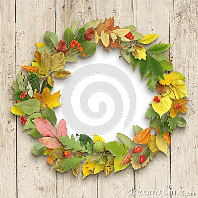 Wreath of autumn leaves on wooden background Stock Photo