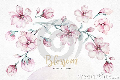 Wreath of blossom pink cherry flowers in watercolor style with white background. Set of summer blooming japanese sakura Stock Photo