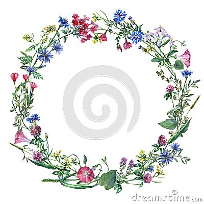 Wreath border frame with summer herbs, meadow flowers. Cartoon Illustration