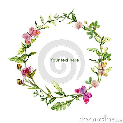 Wreath border frame with wild herbs, meadow flowers, butterflies. Watercolour Stock Photo