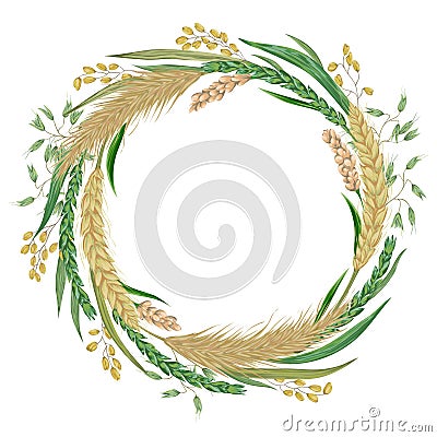 Wreath with cereals. Barley, wheat, rye, rice, millet and oat. Collection decorative floral design elements. Vector Illustration