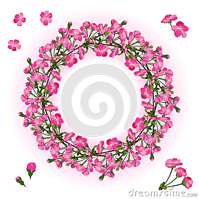 Wreath of cherry blossom branch Vector Illustration