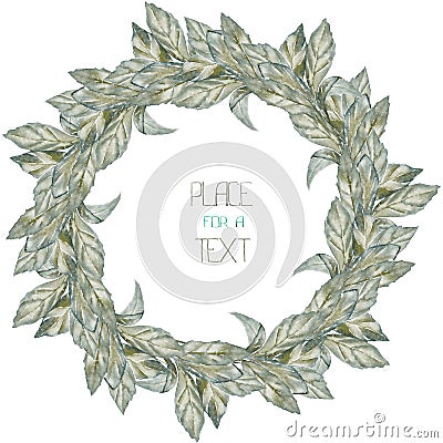 A wreath (circle frame) with the watercolor grey leaves (basil) on a white background Stock Photo