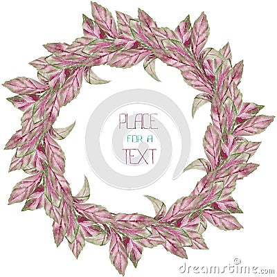 A wreath (circle frame) with the watercolor purple and violet leaves (basil) on a white background Stock Photo