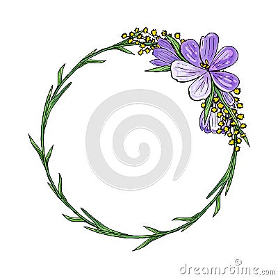 Wreath with crocuses and mimosa Vector Illustration