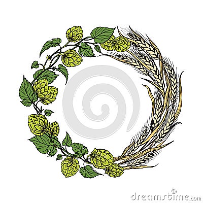 A wreath of ears of wheat and hops Vector Illustration