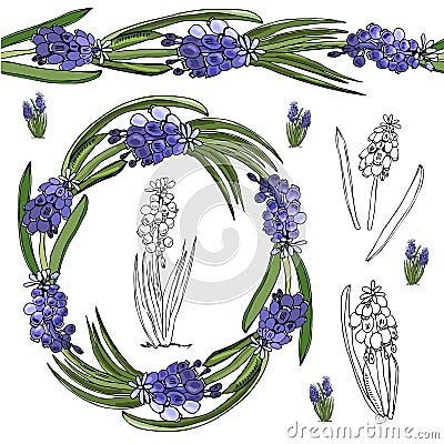 Wreath and endless brush with buds and leaves of violet muscari. Hand drawn monochrome and color sketch with sping flowers. Vector Illustration