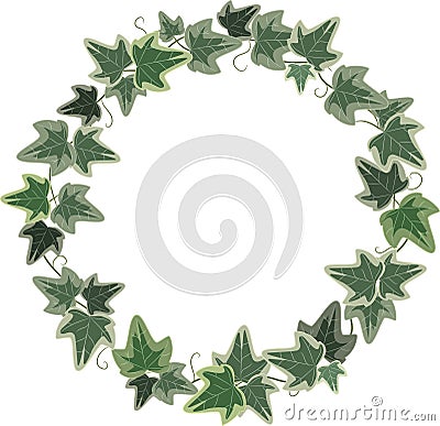 A wreath of Ivy Vector Illustration